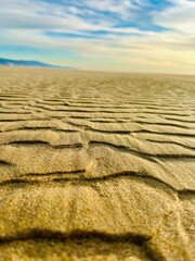 sand dunes on the beach