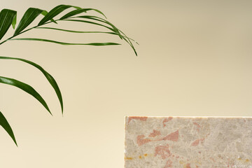 Granite stone with branch green leaf on beige background