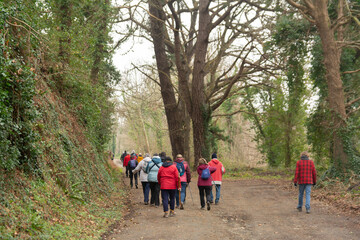 Groupe de randonneurs seniors en Bretagne