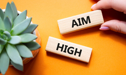 Aim High symbol. Wooden blocks with words Aim High. Beautiful orange background with succulent...