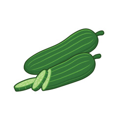 Cucumbers slice vegetable vector illustration