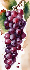 Purple Grapes Painting Alkohol Washed Ink Colors Watercolor Drawing Style Artwork Background Wall Art Design