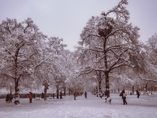Winterzauber im Herzen von München – Schneebedeckte Pracht im Hofgarten