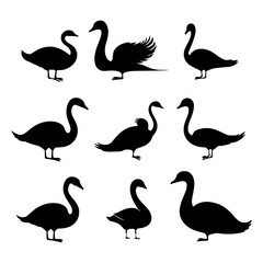 Swan bird silhouette. Flying bird vector of swan
