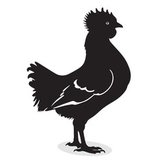 Chicken silhouettes and icons. Black flat color simple elegant white background Chicken animal birds vector and illustration.
