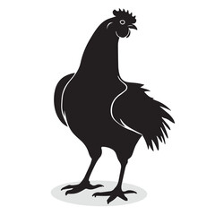 Chicken silhouettes and icons. Black flat color simple elegant white background Chicken animal birds vector and illustration.