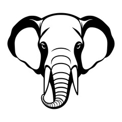 elephant head isolated on white