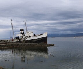 Aground ship and flying seagull in Ushuaia