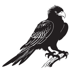 Eagles silhouettes and icons. Black flat color simple elegant white background Eagles animal birds vector and illustration.