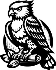 Hooty Hawk Cartoon icon 9