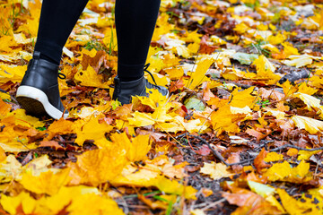 woman walking through autumn leaves in the park.