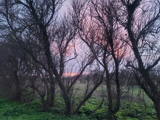 Chassiron, Ile d'Oléron, Charente Maritime, Nouvelle Aquitaine, France, Europe