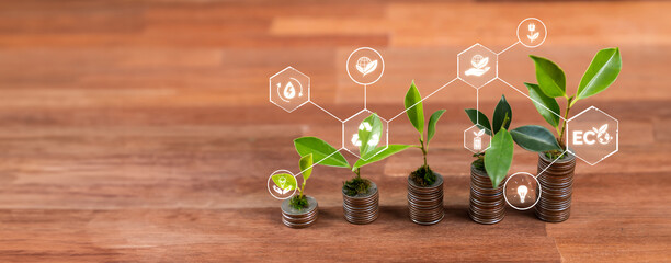Stack of money and coin grow with tree seedling plant on top, green environment business investment and economic financial sustainable growth on environmental sustainability. Panorama Reliance
