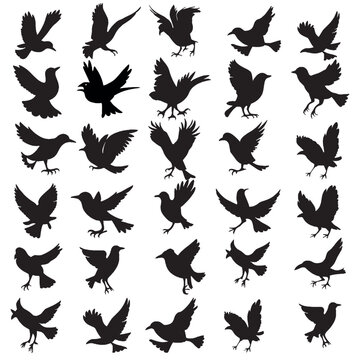 Set of a flock of flying different birds silhouettes Collection of different cartoon black birds on white background. Vector illustration.