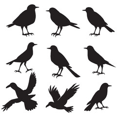 Set of a flock of flying different birds silhouettes Collection of different cartoon black birds on white background. Vector illustration.