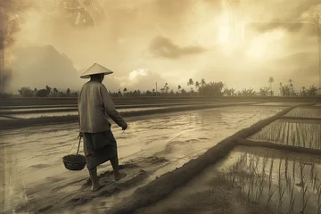Deurstickers Rijstvelden rice farmer in the fields rice in mexico