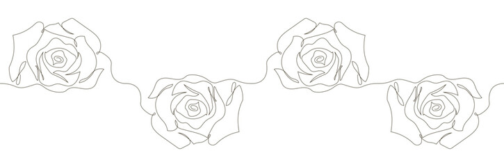 Pattern of rose flowers in a single continuous line style. Roses. Stock vector illustration isolated on white background