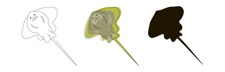 Set of three sea stingrays in line and doodle style and black silhouette. Vector illustration isolated on white background