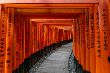 Fushimi Inari Taisha Torii Schrein der tausend Torii in Kyoto