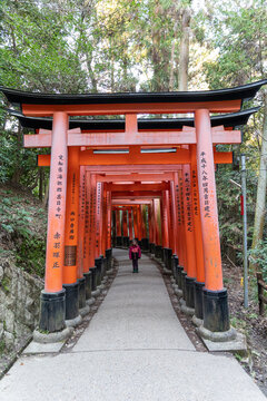 Mädchen besucht den Fushimi Inari Taisha Torii Schrein der tausend Torii in Kyoto im Japan Urlaub