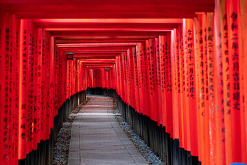 Fototapeta premium Fushimi Inari Taisha Torii Schrein der tausend Torii in Kyoto