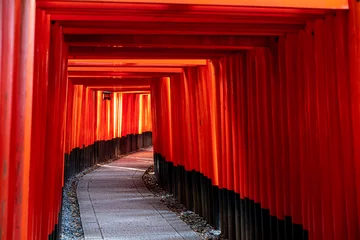 Gardinen Fushimi Inari Taisha Torii Schrein der tausend Torii in Kyoto © gottsfam