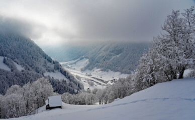 Winterstimmung mit Hochnebel