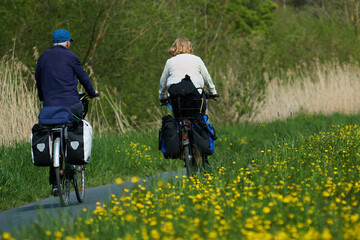 Älteres Ehepaar mit Tourenrädern fährt durch blühende Wiesen auf einem asphaltierten Radweg