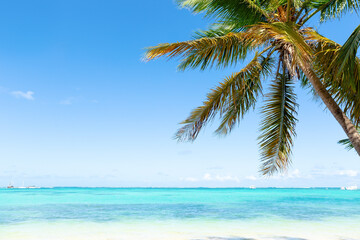 Bavaro beach in sunny day with calm ocean and white  beach, Dominican republic