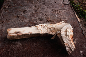 Axes with handles are placed on a wooden log. The hatchets. Harvesting firewood in the village....