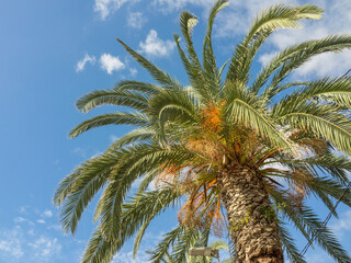 Dien insel Madeira in Portugal