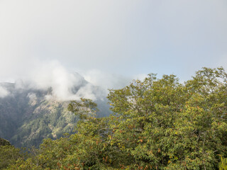Funchal und die Insel Madeira