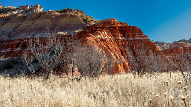 Palo Duro Canyon terrain with red rock cliff
