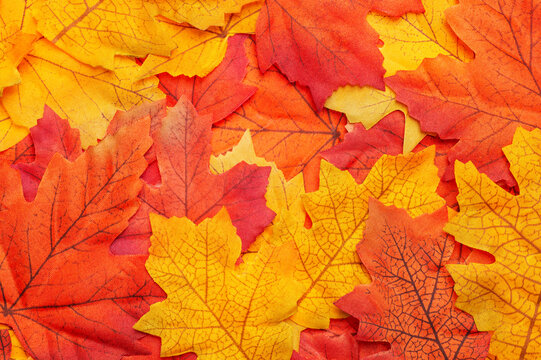 Composition with faux autumn leaves. Autumnal background