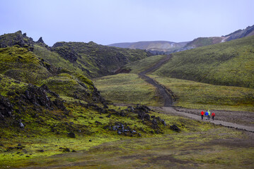 Hikers on the Laugahraun lava field in Lanmdannalaugar, Fjallabak Nature Reserve, Central Highlands of Iceland.