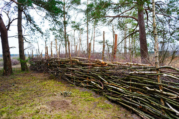 Natural fence made out of branches and logs in woodland 
