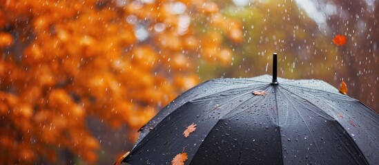 Use an umbrella for protection during fall rain.