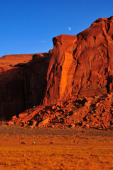 Horses, the moon and the sunset-lit sandstone buttes and mesas of Monument Valley Navajo Tribal Park, Utah - Arizona border, USA.