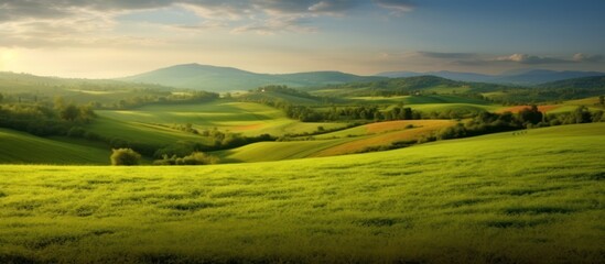 Fototapeta na wymiar panorama green field