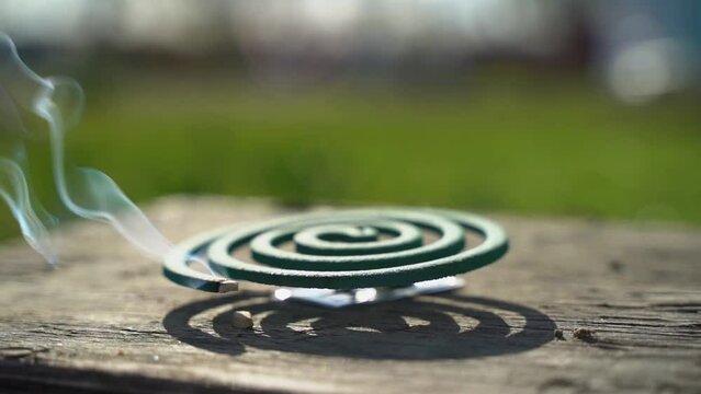 spiral from mosquitoes and insects in nature