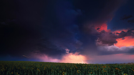 A dramatic storm scene with vibrant lightning over a sunflower field at dusk