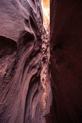 Spooky Slot Canyon, Hole in a Rock Road, Grand Staircase National Monument, Utah
