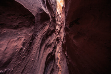 Spooky Slot Canyon, Hole in a Rock Road, Grand Staircase National Monument, Utah
