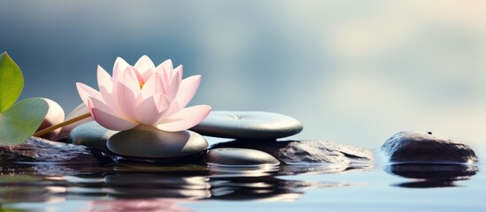 Closeup beautiful lotus or lily flower, stack of stones on water surface blur background.Generate AI