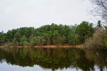 Fototapeta na wymiar Reflections of woodland and trees on a still lake of water