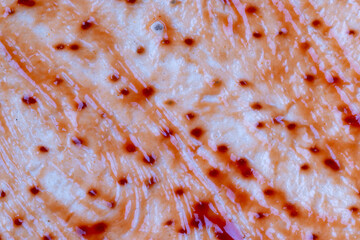 pizza dough with red ketchup and spices