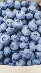 blueberries in a bowl