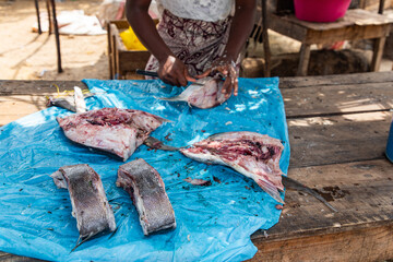 Fresh fish food at the local market, Toamasina, Madagascar