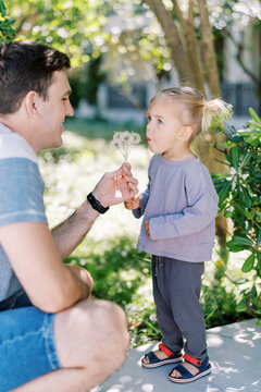 Little girl blows on a bouquet of dandelions in the hand of a smiling dad sitting on his haunches