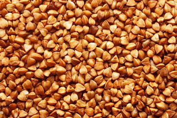 Buckwheat isolated on white background, full depth of field